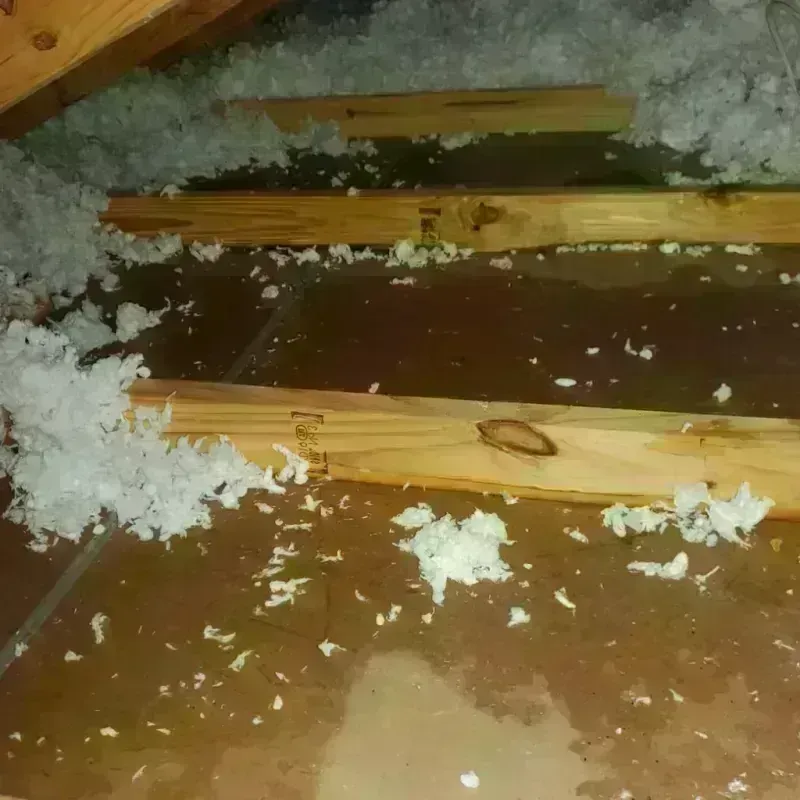 Attic Water Damage in De Kalb, TX